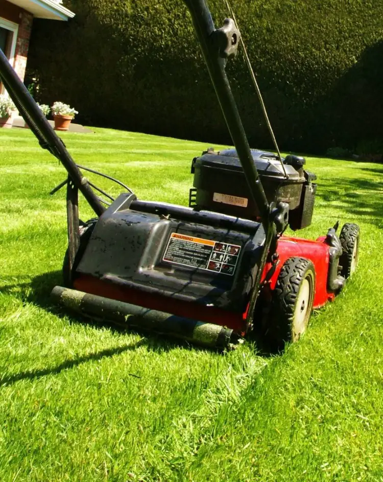 Entretien d'espace vert tondeuse sur herbe